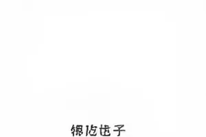 南风过境时窗外摇晃的树影
